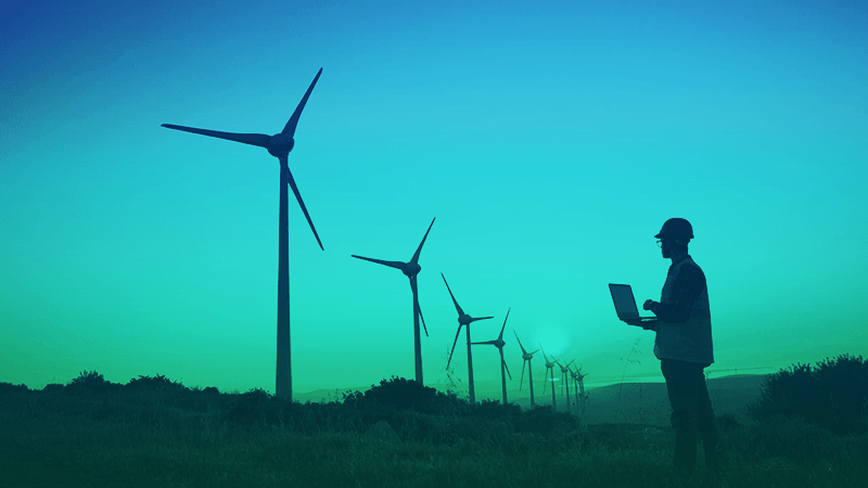 Person standing in a field looking at a row of wind turbines